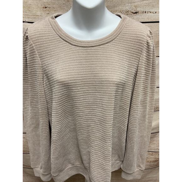 Chenault Womens Sweater Size XL Womens Beige New Pullover Long Sleeve - Picture 4 of 11